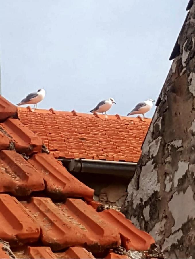Hvar Heart Heritage Apartment Stari Grad  Zewnętrze zdjęcie
